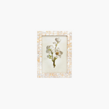 Mother of Pearl 5X7 Photo Frame