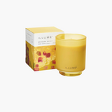 Rhubarb Honey Boxed Glass Candle