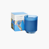Citrus Crush Refillable Glass Candle + Refill