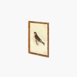 Vintage Bird Wall Art
