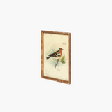 Vintage Bird Wall Art