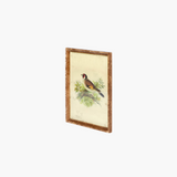 Vintage Bird Wall Art