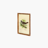 Vintage Bird Wall Art