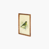 Vintage Bird Wall Art