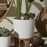 Planter Wooden Cutout Bowl Stand