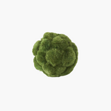 Moss Ball