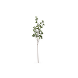 Green Leaf Foilage