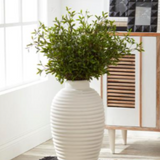 Green Leaf Foilage