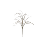 Twiggy Branch