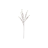 46 Inch Purple Hoary Willow Spray