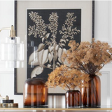 Aralia Stem