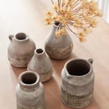 Allium Stem-Tan