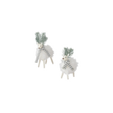 White Wool Deer