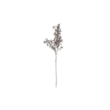 Blue Berry Stem