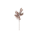 Cypress Branch