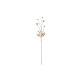 Flocked Thistle Stem