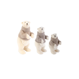 Polar Bears