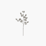 Champagne Leaf Pick