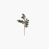 Faux Boxwood Stem w Red Berries