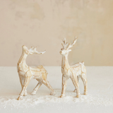 Whitewashed Reindeer