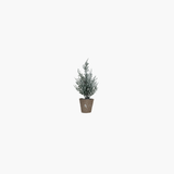 Faux Evergreen Tree in Paper Pot
