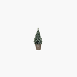 Faux Evergreen Tree in Paper Pot
