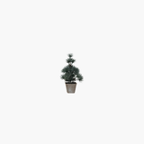 Faux Evergreen Tree in Paper Pot