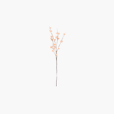 Pink Sycamore Fruit Ball Stem