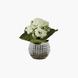 White Kalanchoe Pressed Glass Vase