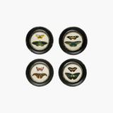 Round Framed Moths/Butterflies
