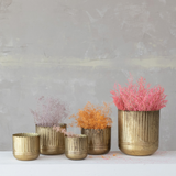 Antique Gold Scalloped Planters