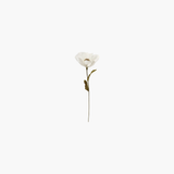 Cream Paper Flower