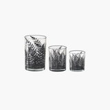 Clear Glass Containers w/Black Ferns