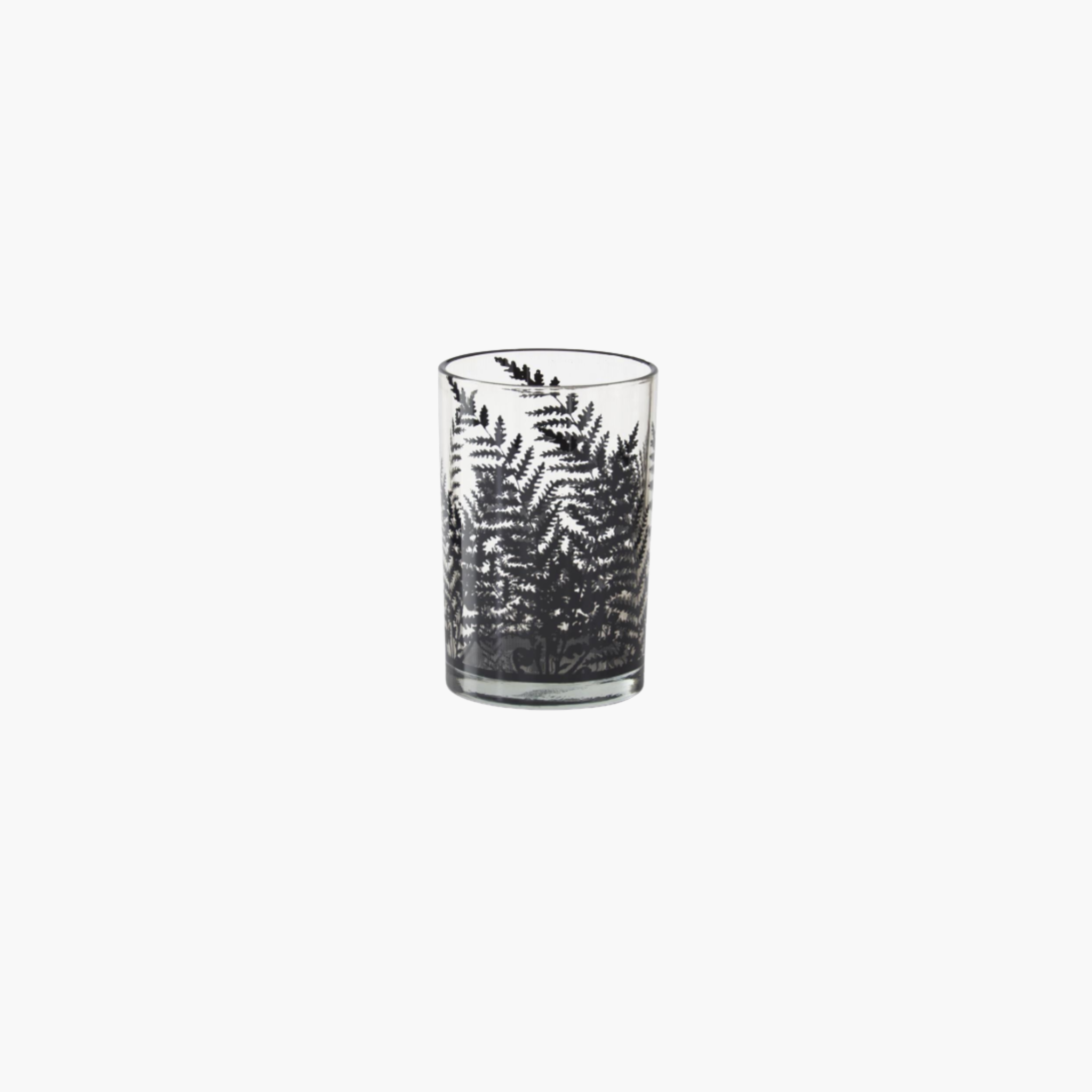 Clear Glass Containers w/Black Ferns
