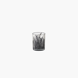Clear Glass Containers w/Black Ferns