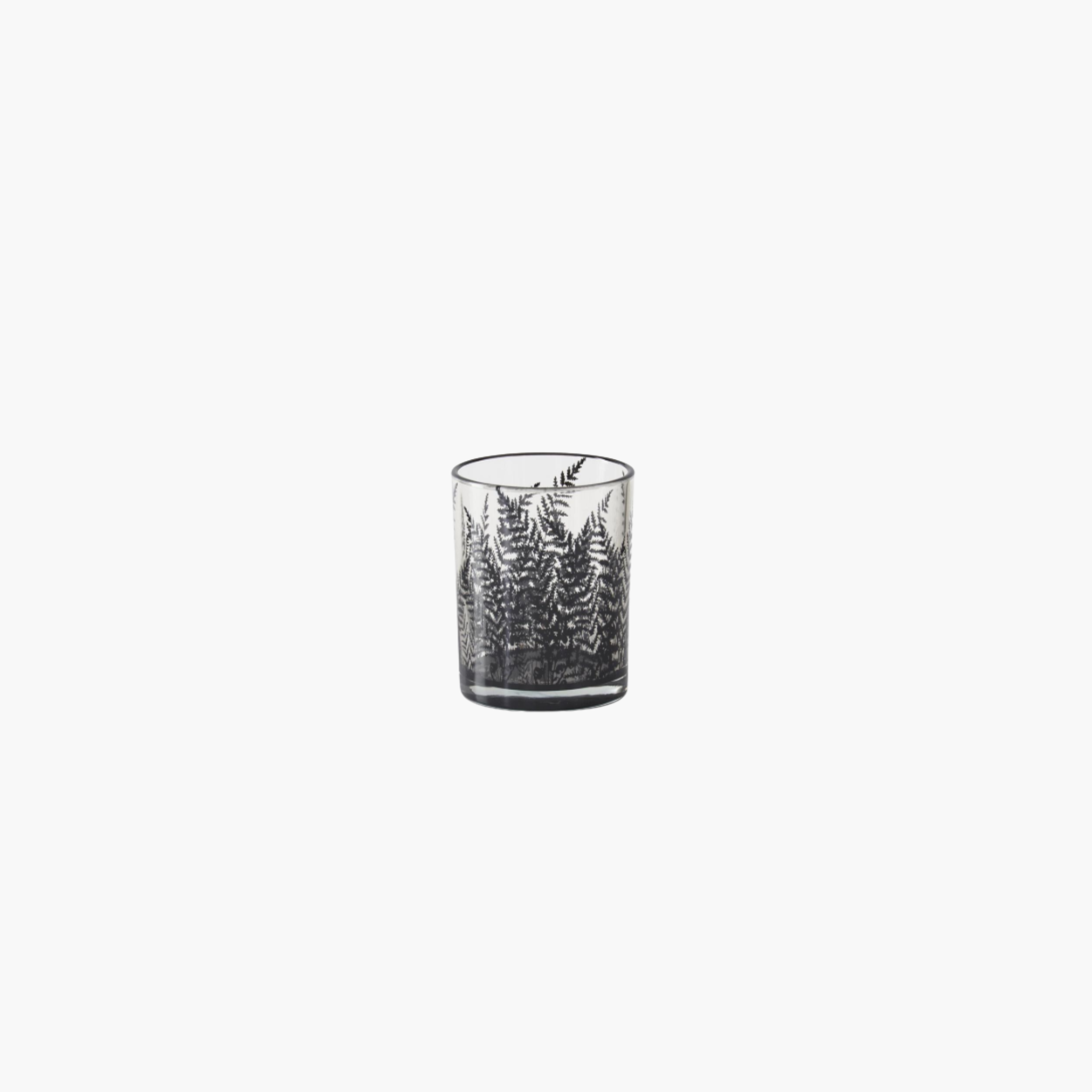 Clear Glass Containers w/Black Ferns