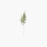 Real Touch Ostrich Fern Stem