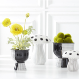 Fuzzy Moss Balls 12Pk - Sm