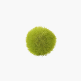 Fuzzy Moss Balls 12Pk - Sm