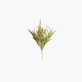 Green Eva Grass Bush