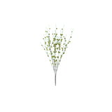 Green Pussy Willow Spray