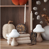 Dried Floral Taperholder