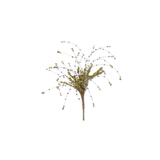 Brown Bead Bud Stem w/Foliage