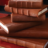 Rusty Brown Hair on Hide Journal