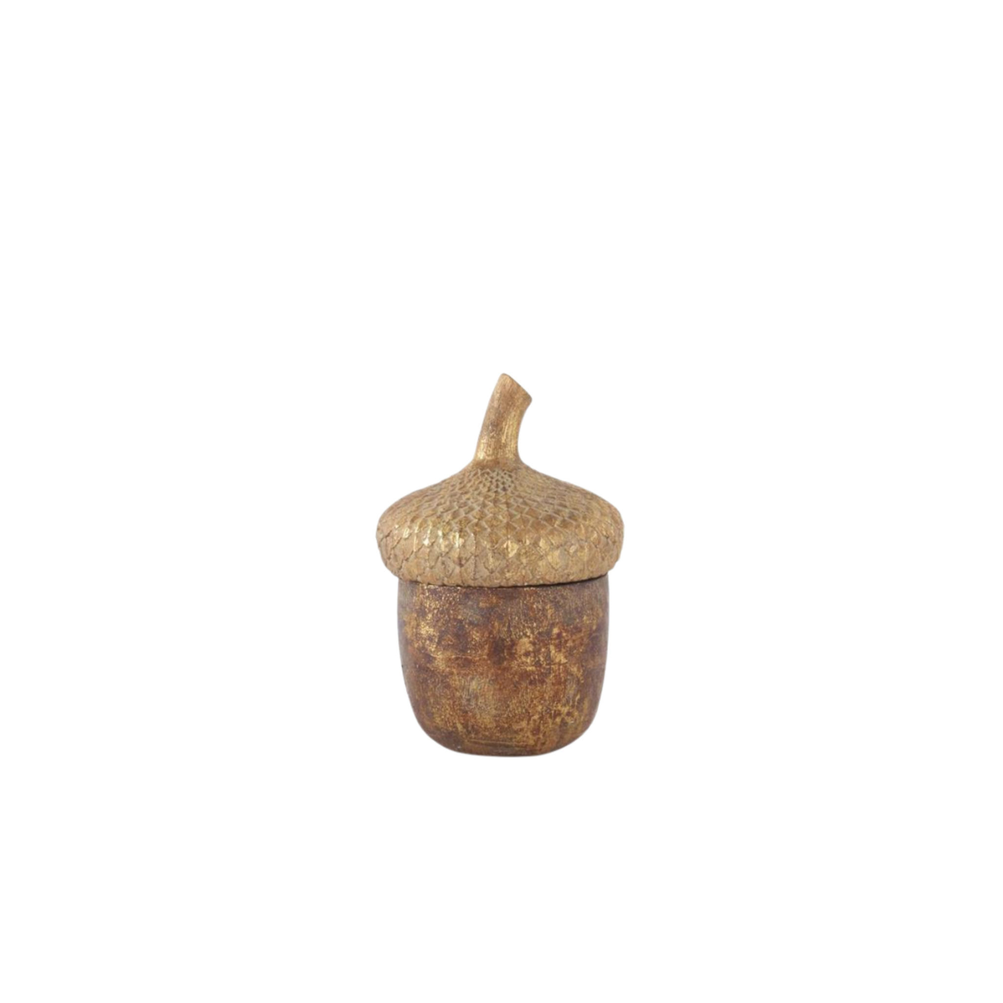 Acorn Canisters