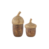 Acorn Canisters