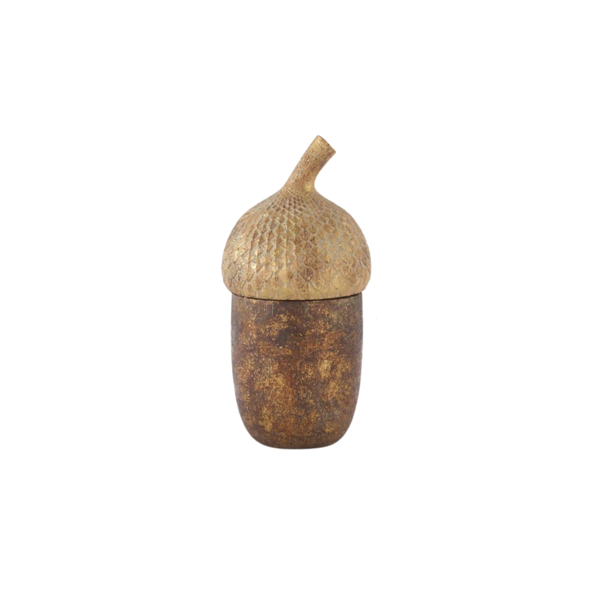 Acorn Canisters