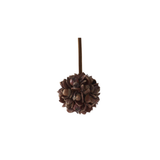 Acorn & Rose Hip Ball