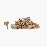 Dried Natural Pods in Kraft Bag