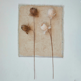 Taupe Feather Flower Stem